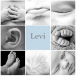 Levi Details_re