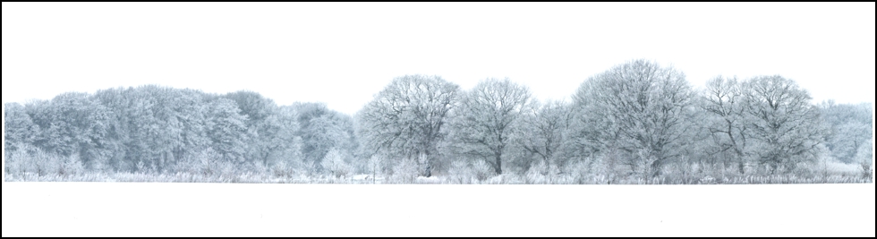 Loveshoot in snow