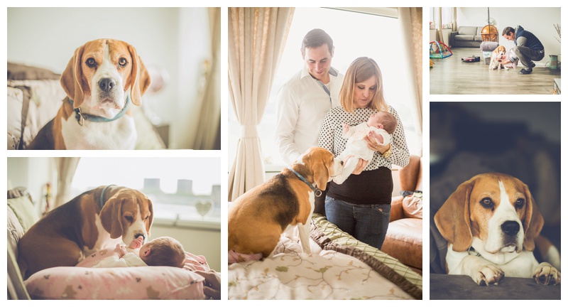 Lifestyle newborn reportage Rotterdam