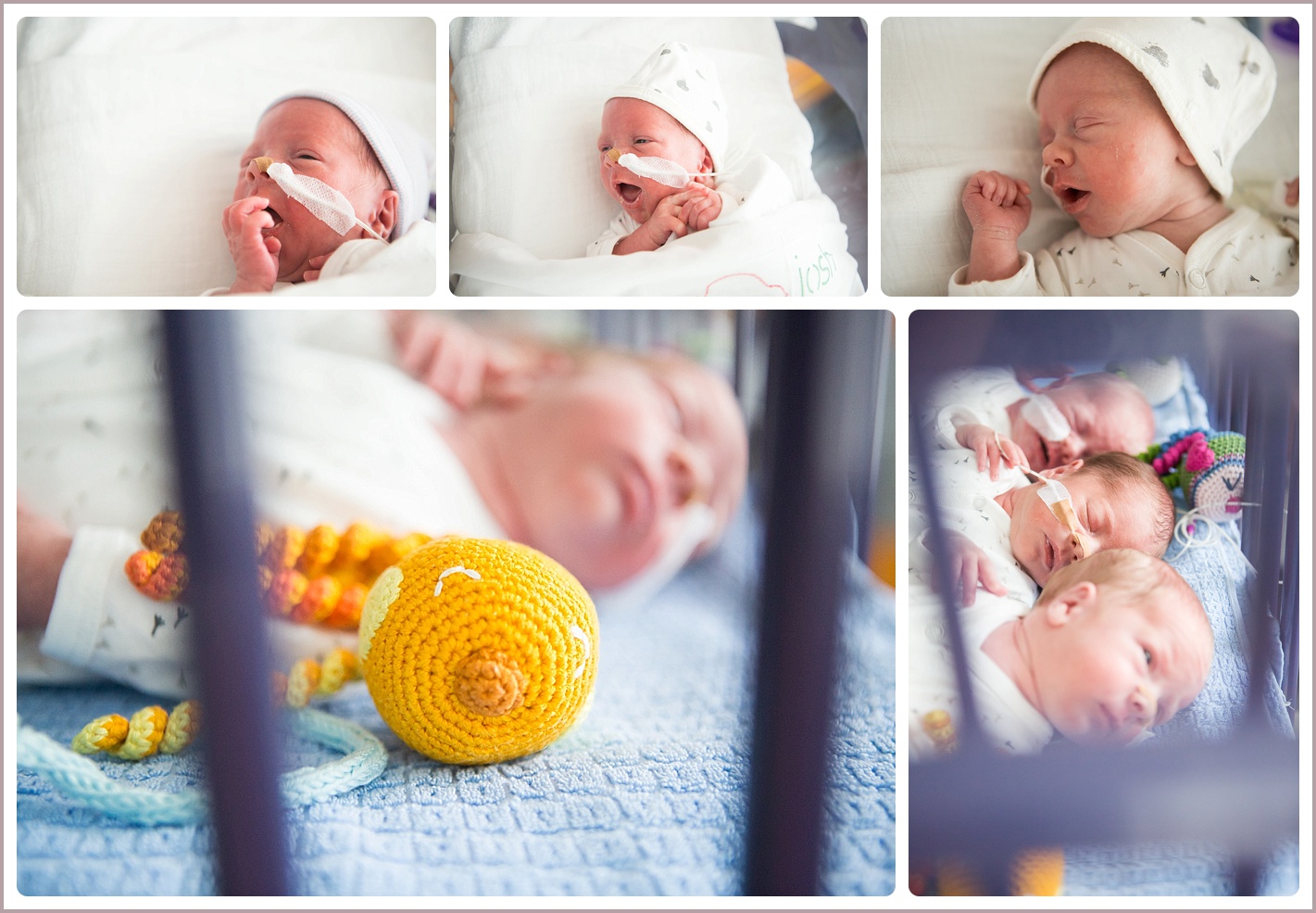 Earlybird reportage