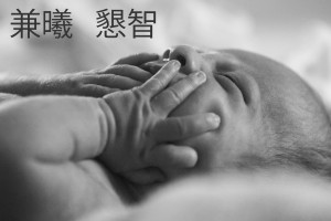 _MG_6446B